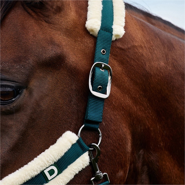 2026 Dublin Soft Fit Headcollar 1031034 - Green